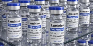 Testes clínicos fase 1 da polilaminina começam este mês