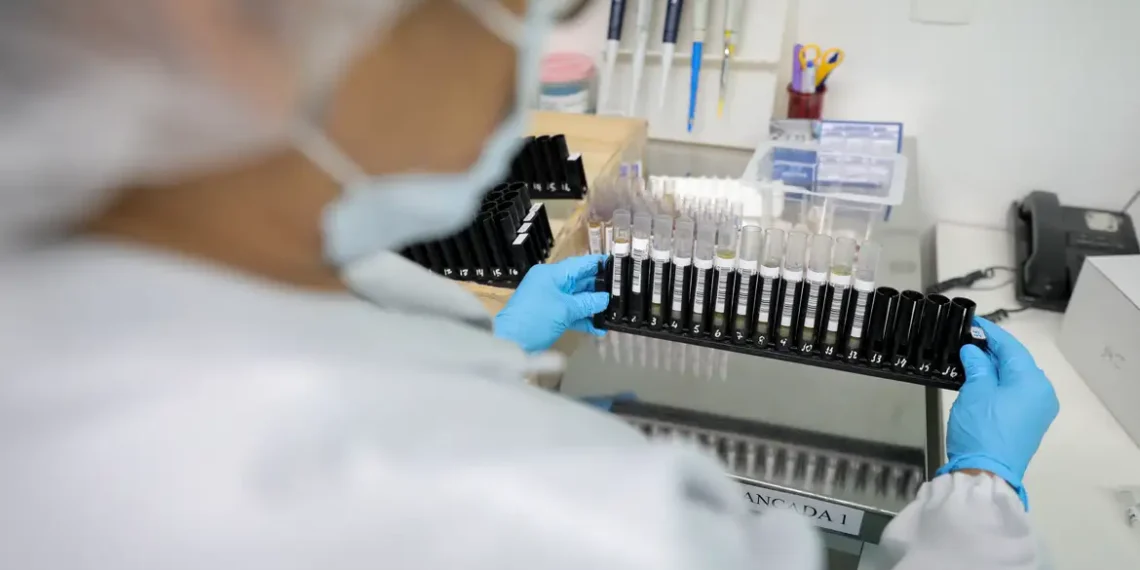 Malária: Anvisa autoriza teste em humanos de vacina 100% brasileira