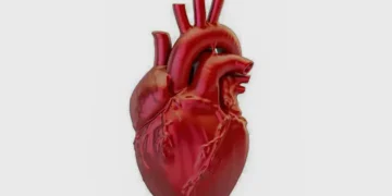 A cada 72 segundos, uma pessoa morre por doença cardiovascular no país