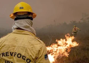 Governo monitora saúde de amazonenses em locais afetados por queimadas