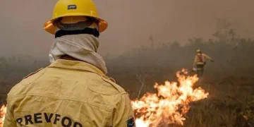 Governo monitora saúde de amazonenses em locais afetados por queimadas
