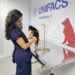 Outubro Rosa Pet: UNIFACS promove campanha com atendimento veterinário para cães e gatos
