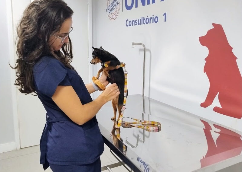 Outubro Rosa Pet: UNIFACS promove campanha com atendimento veterinário para cães e gatos